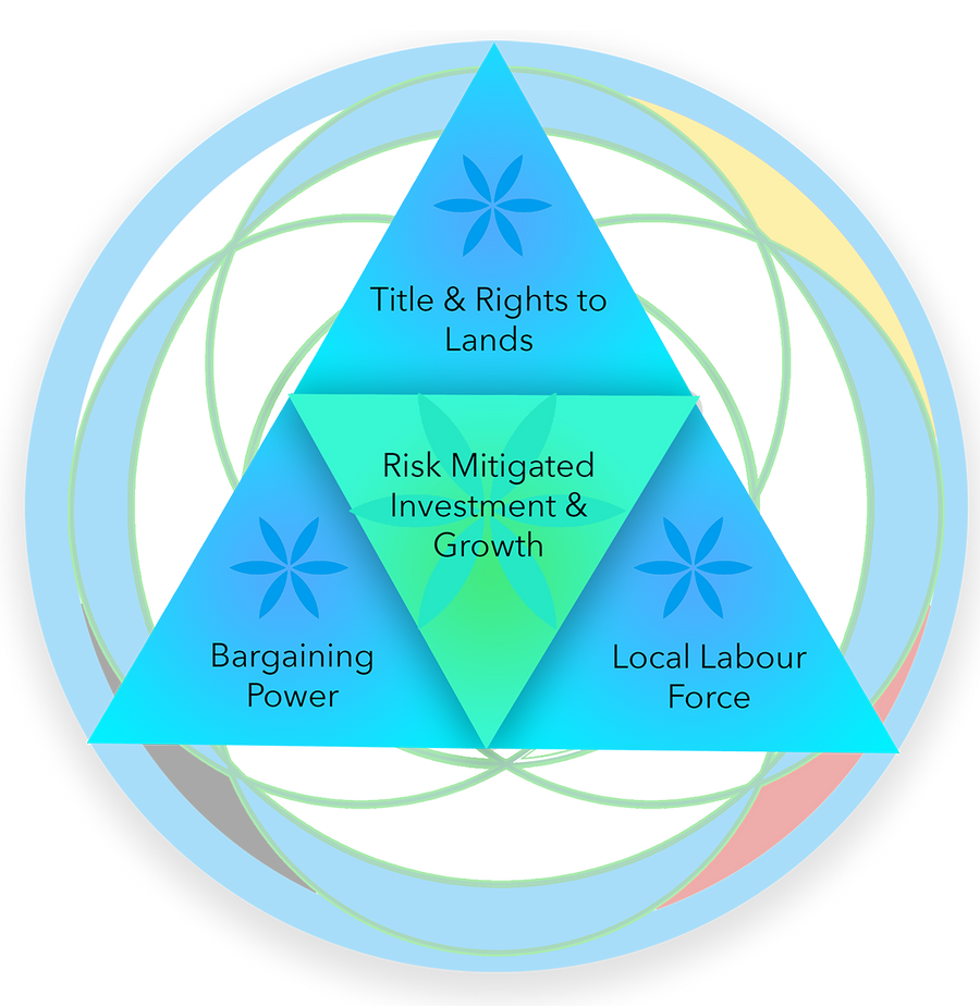 Four Our Future economic reconciliation framework: title and rights to lands, bargaining power, local labour force, and risk-mitigated investment and growth